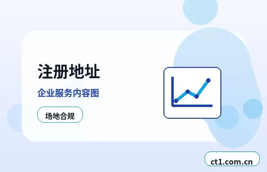 龙岩公司注销有未申报记录能否办理配图