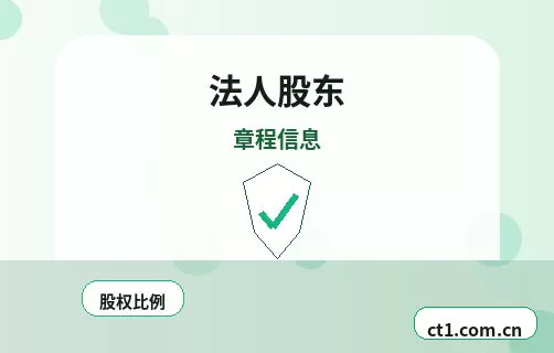 朝阳龙城区注册公司法人股东信息填写注意事项配图
