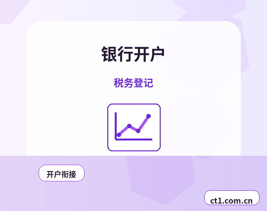 疏勒注册公司新公司税务报到流程说明配图