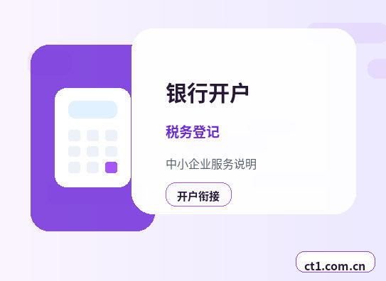 广元公司注销前银行流水怎么整理配图