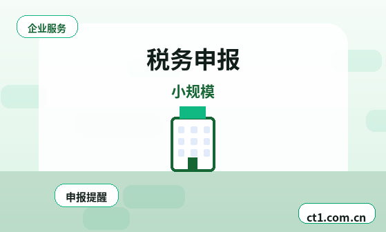 辽源代理记账一般包含哪些服务内容缩略图