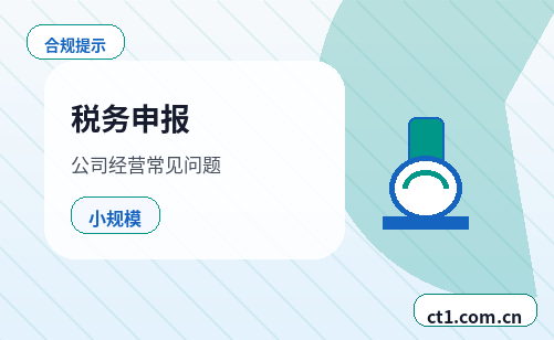 松原代理记账企业所得税申报要点配图