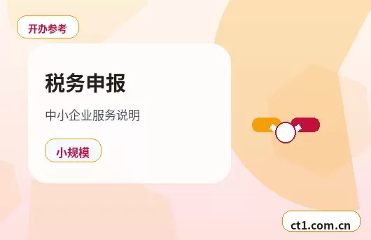 毕节代理记账小规模纳税人报税流程配图