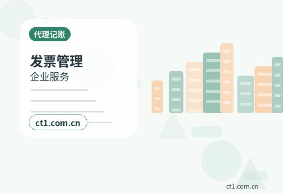 重庆代理记账分支机构报税要点配图