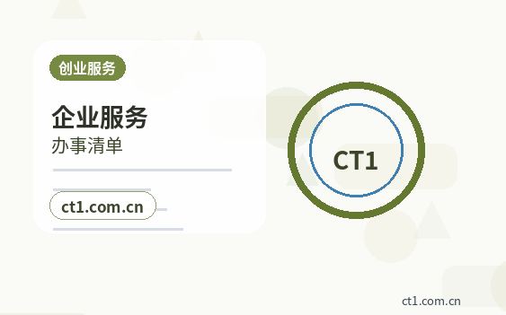 拉萨代理记账税务风险排查常见事项配图