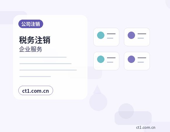上海松江区注册公司一般纳税人设立要点指南缩略图