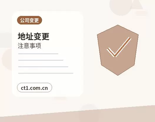 北屯代理记账小微企业税务申报注意事项配图