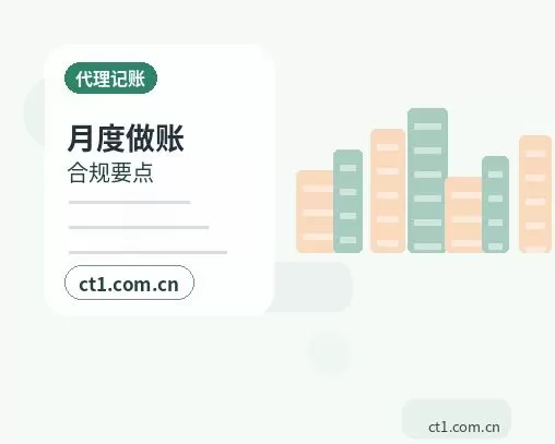 黔南州代理记账分支机构报税要点配图