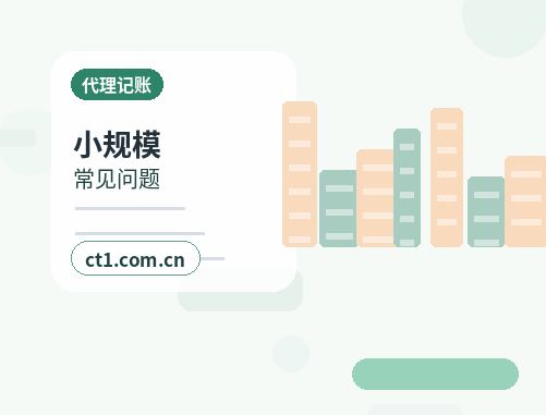绍兴代理记账增值税申报常见问题缩略图