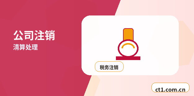 巴中公司注销企业所得税清算申报说明配图