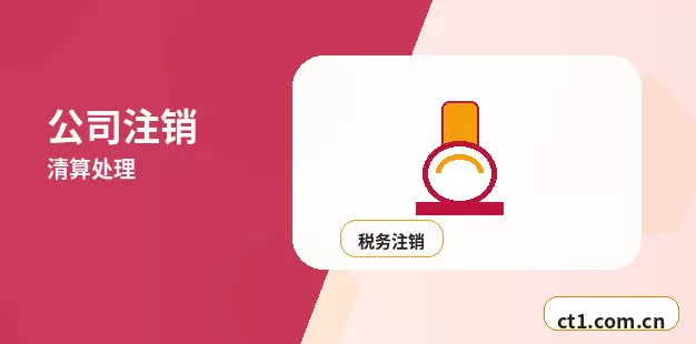 巴中公司注销企业所得税清算申报说明配图