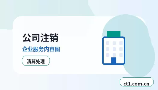 阿里地区注册公司一般纳税人公司设立要点配图