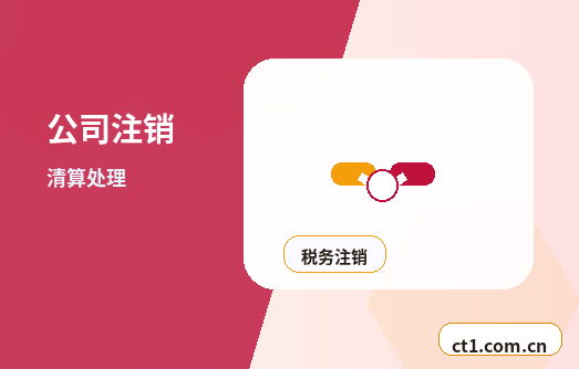 陇南武都区注册公司自己办理和委托代办有什么区别配图