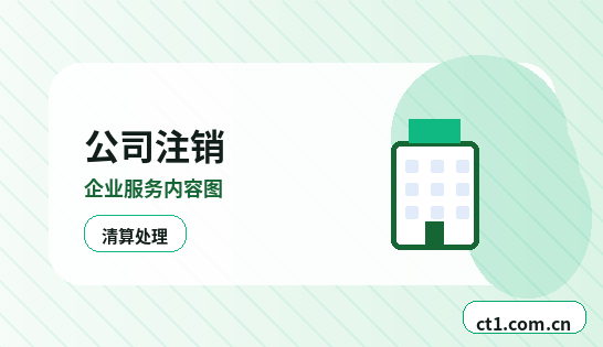 沈阳公司注销企业所得税清算申报说明配图