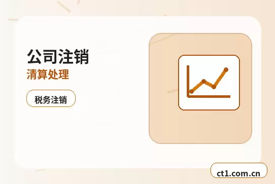 舟山注册公司营业执照下来后怎么记账报税配图